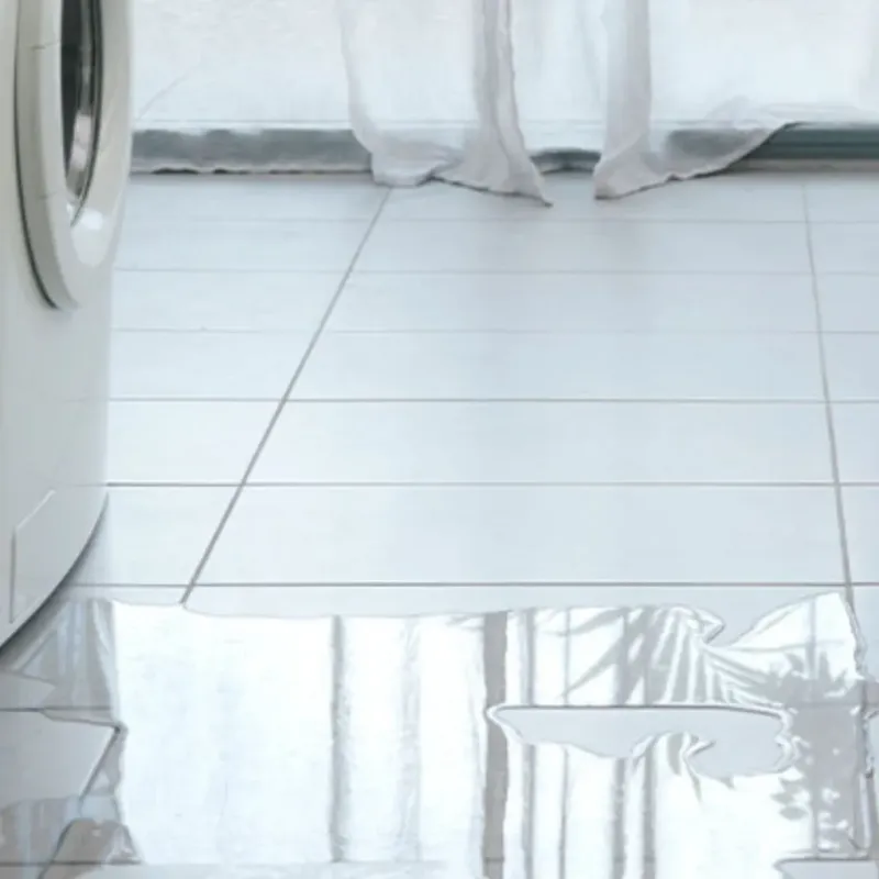 Appliance Leak Cleanup in Silver Springs, NV