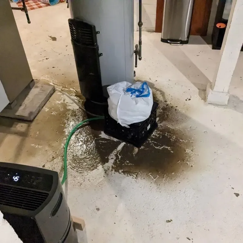Sewage Backup Cleanup Service in Silver Springs, NV